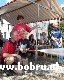 brandweerdag2002-042.jpg (90436 bytes)